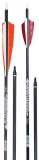 Fleetwood Carbon Arrows, 6-pack