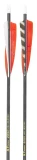 Arrow Dynamics Black Arrows, 6-pack