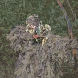 Face Mask for the Shaggie® Ghillie Suit