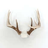 The Change Up DIY Antler Mounting Kit