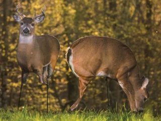 Montana Decoy Deer Plot Pack